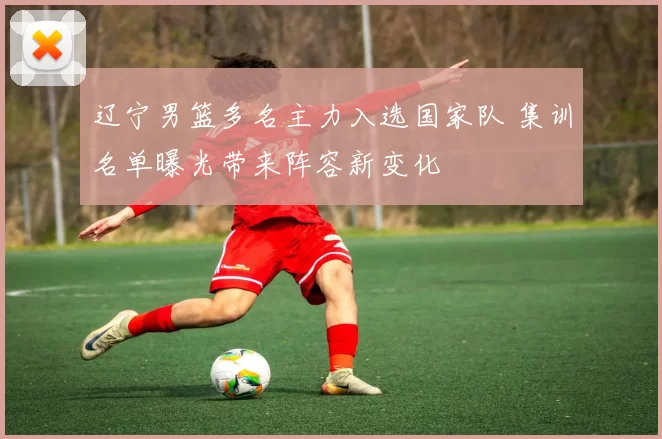 辽宁男篮多名主力入选国家队 集训名单曝光带来阵容新变化