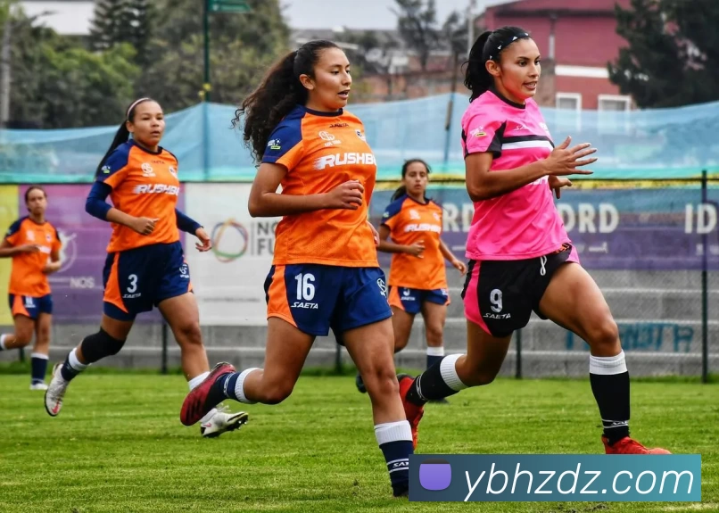 多媒体互动体验